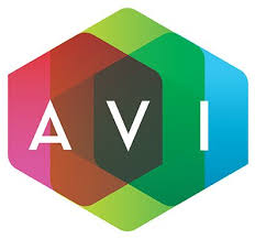 5 Best Practices from AVI Systems for a Successful ERP Implementation -