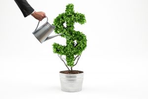 How Can Integrators Achieve Sustainable Growth?